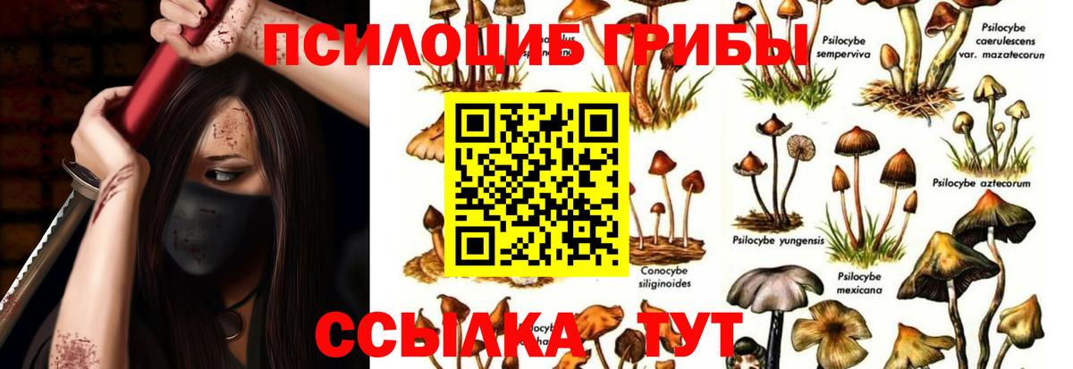 цена наркотик  Псилоцибиновые грибы Magic Shrooms  Строитель  Вход с VPN  Галлюциногенные грибы ЛСД 